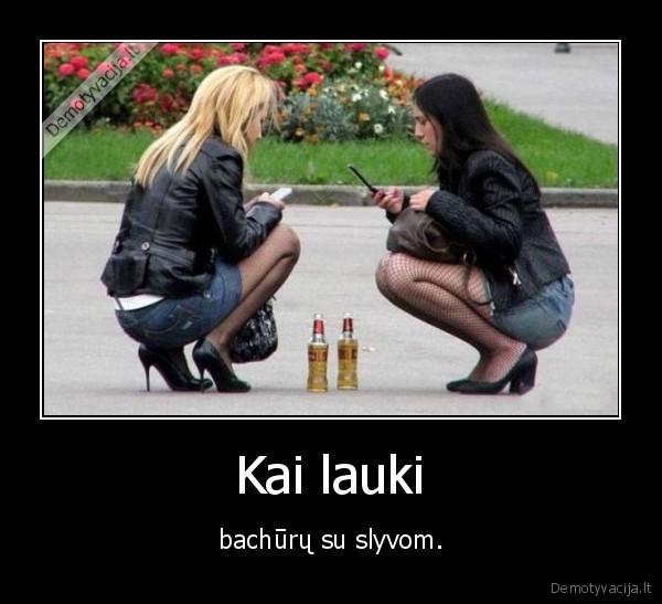 fyfos,alus,slyvos,marozai,bmw