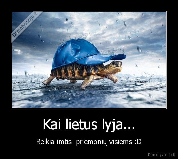Kai lietus lyja...