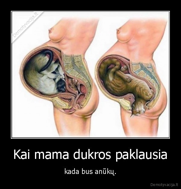 dukra,senmerge,kates,mama,wtf