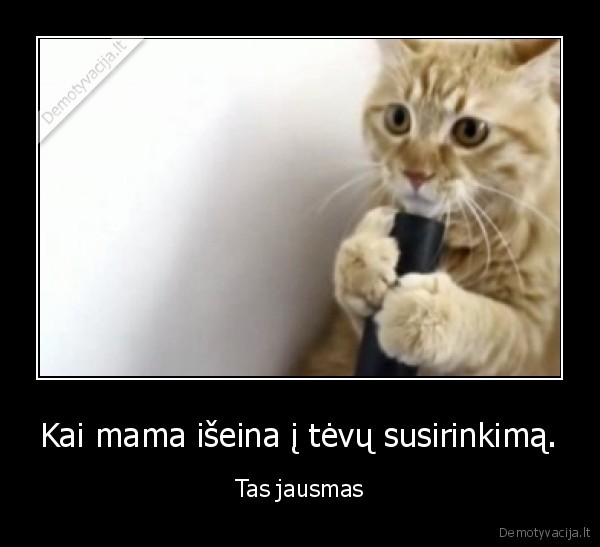Kai mama išeina į tėvų susirinkimą.