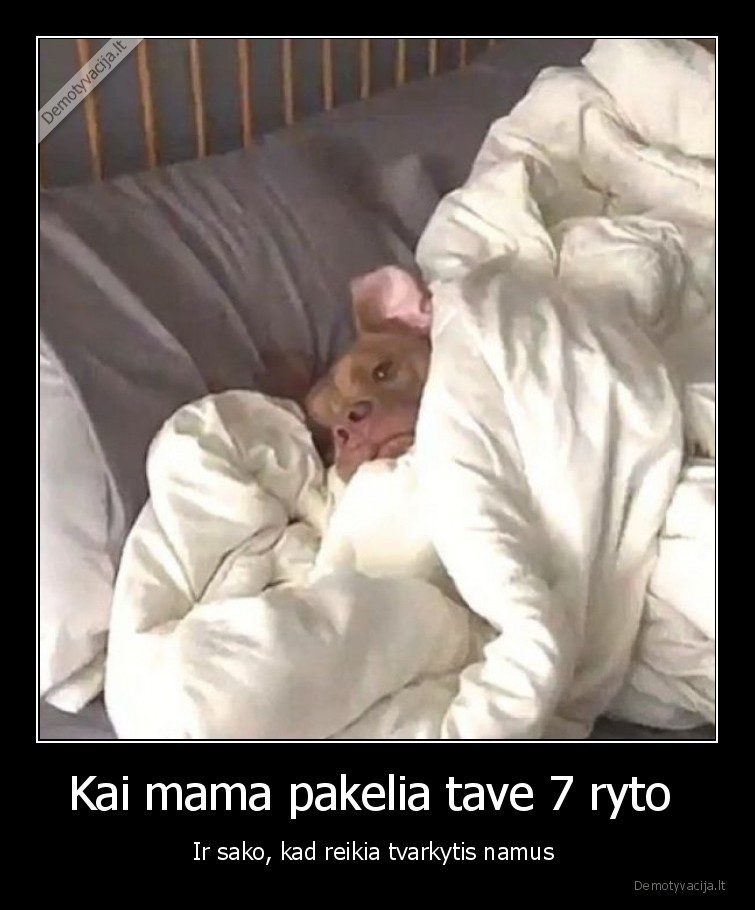 mama,keltis,rytas,suo