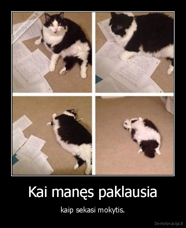 mokslai,kate,katinas,aaaaaa