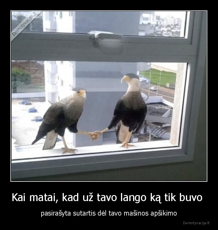 apsikti,sutartis