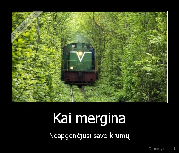 kusiukas,traukinys