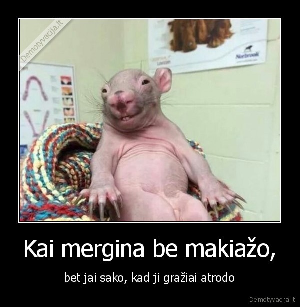 makiazas,mergina
