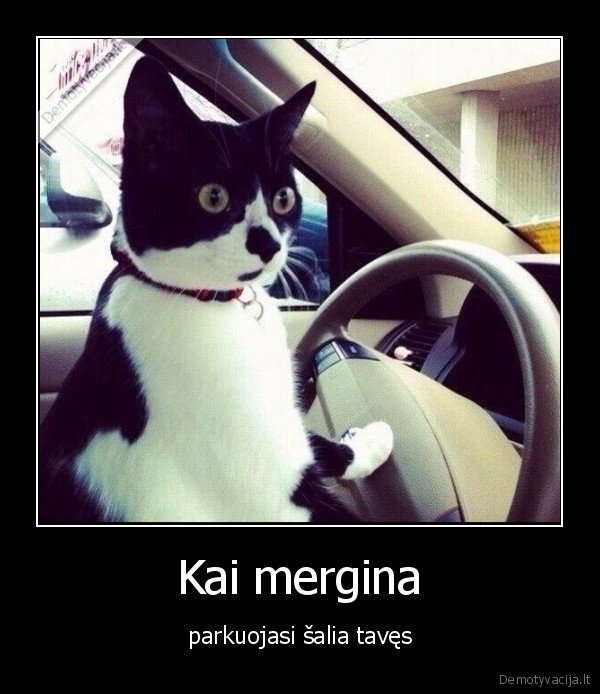 mergina,parkuotis