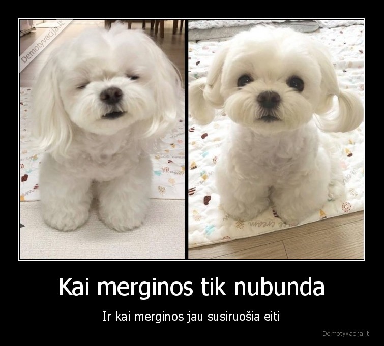 merginos,pries, ir, po,parodijos,miegas
