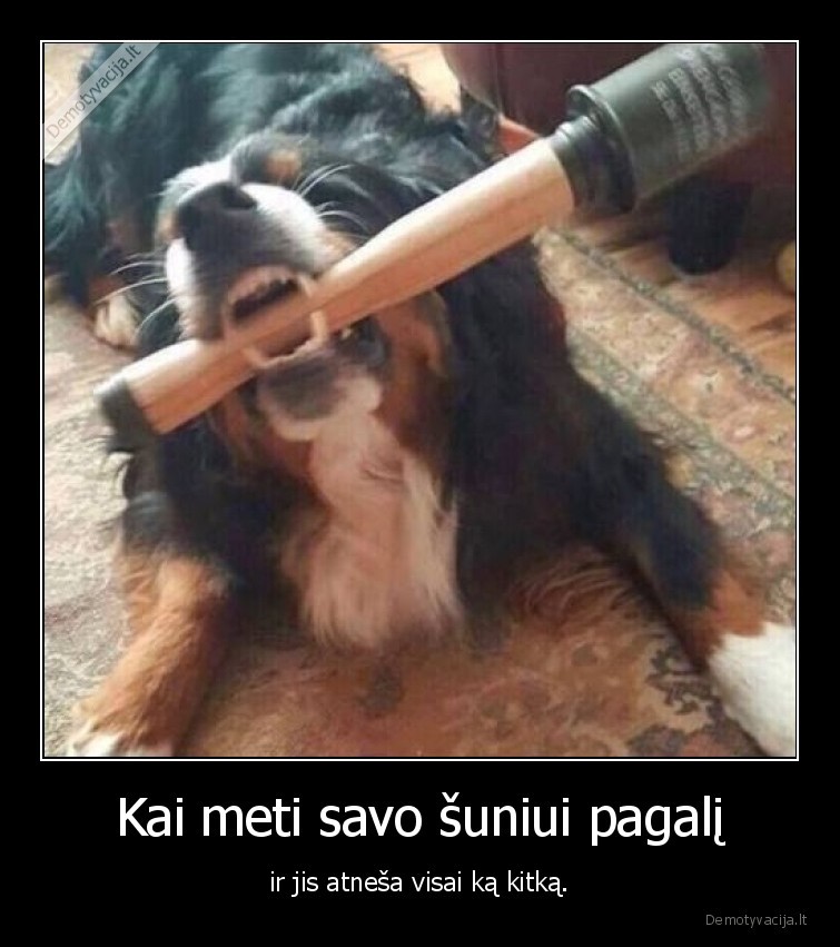 suo,pagalys,granata