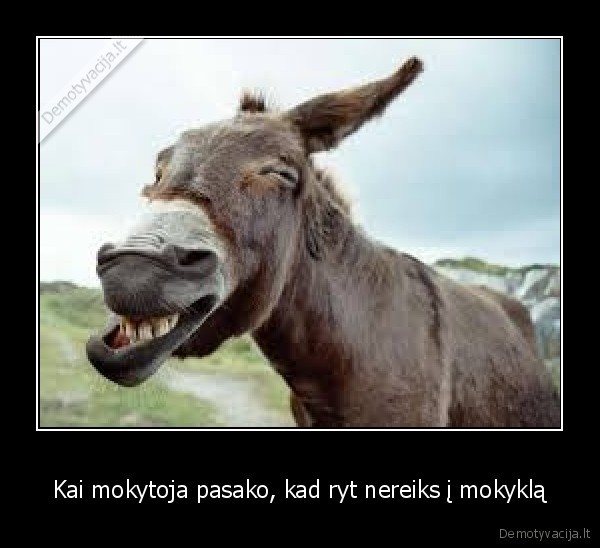 Kai mokytoja pasako, kad ryt nereiks į mokyklą