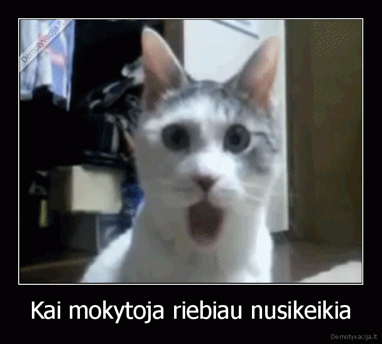 Kai mokytoja riebiau nusikeikia
