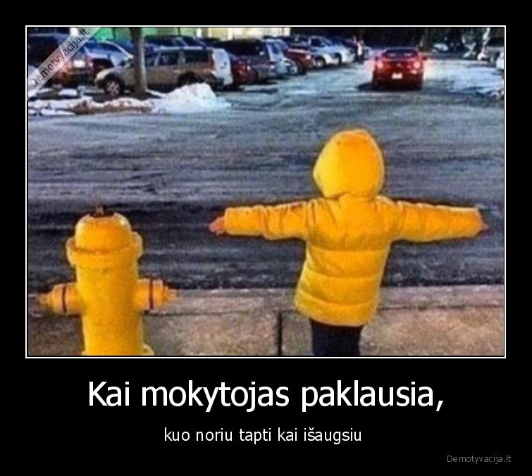 mokykla,profesija