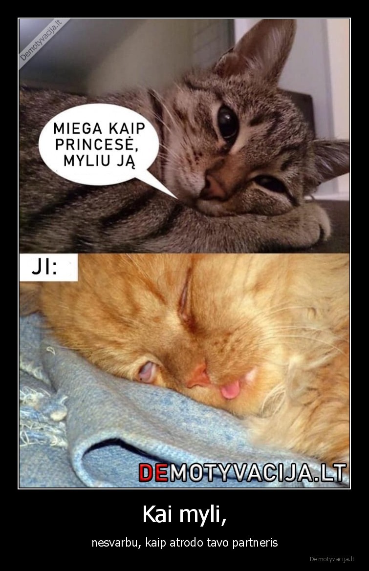 meile,katinai,miega,partneris