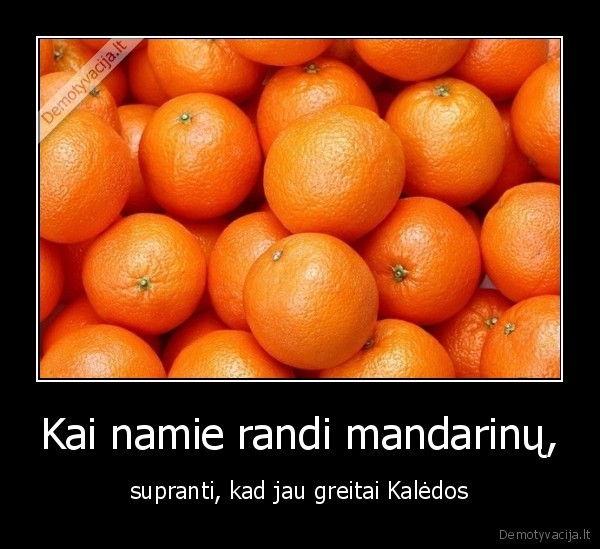 arteja, kaledos,mandarinai, jega
