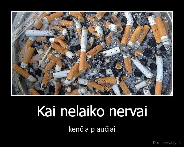 nervai,plauciai