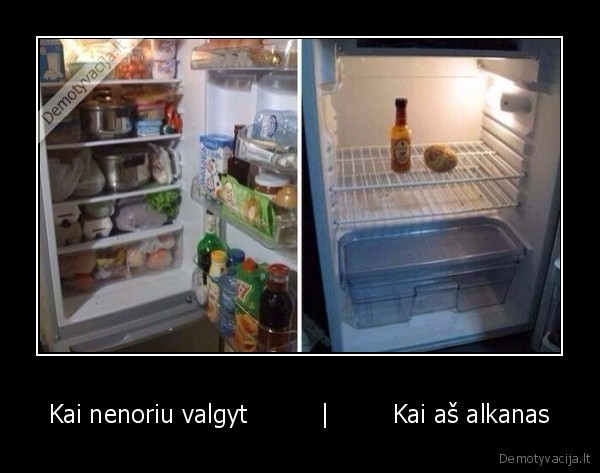 saldytuvas