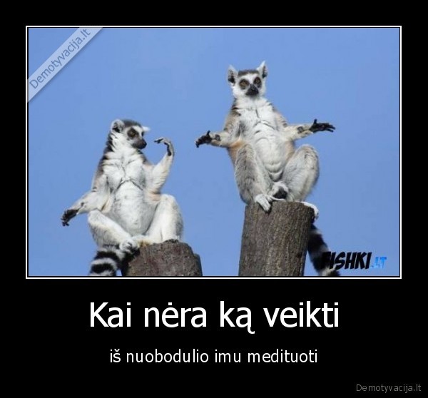 gyvunai