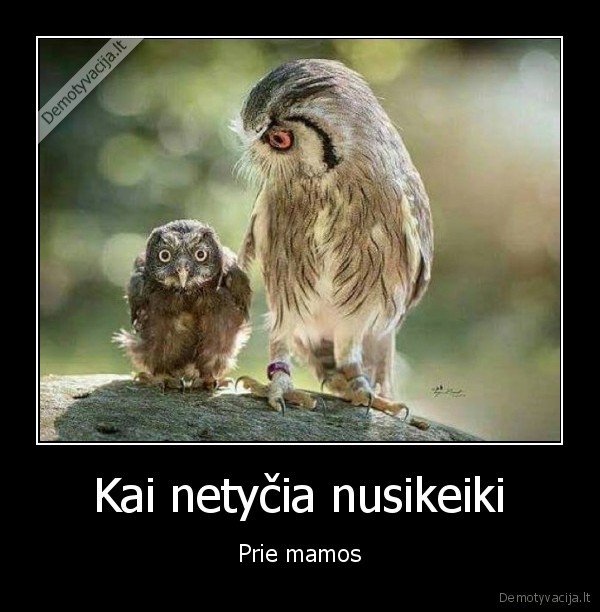 keiksmazodziai,reikia, isplaut, burna