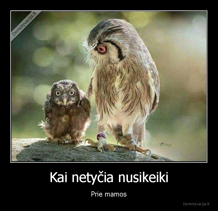 mama,keiskmai