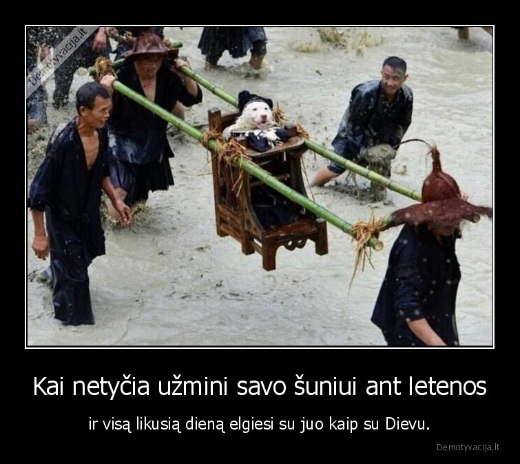 suo,letena,dievas