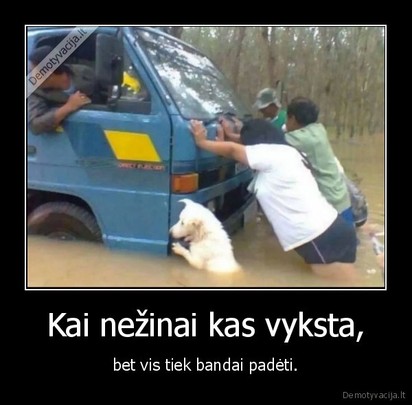 suo,pagalba