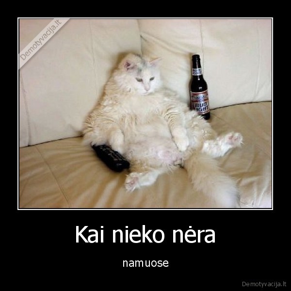 Kai nieko nėra