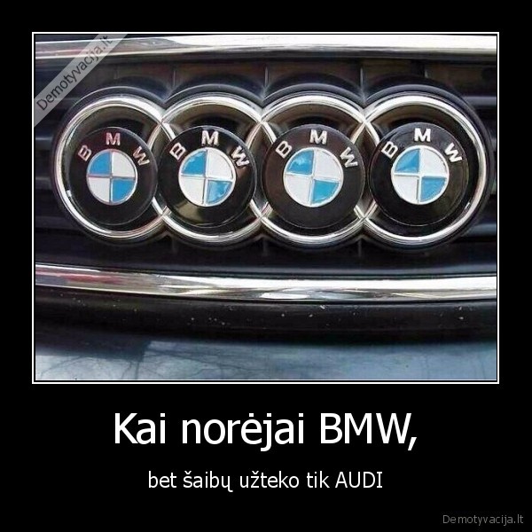 bmw,audi