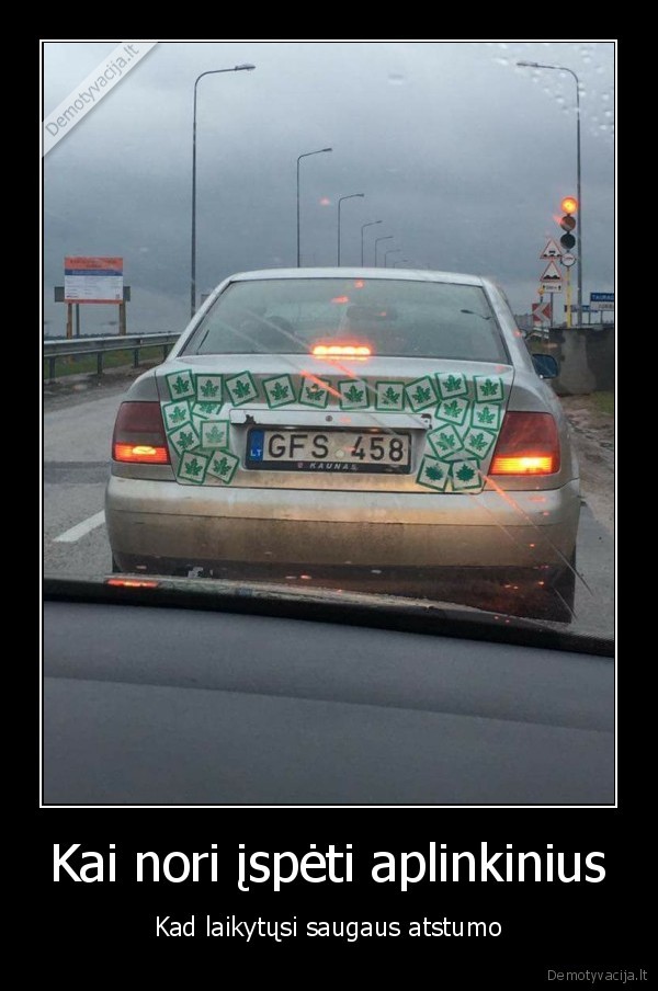 turbo, klevas,klevo, lapas