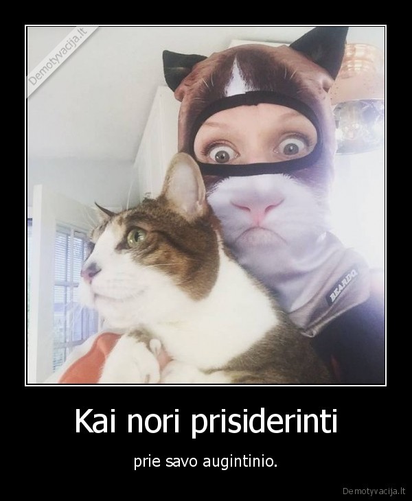 kate,katinas,kauke
