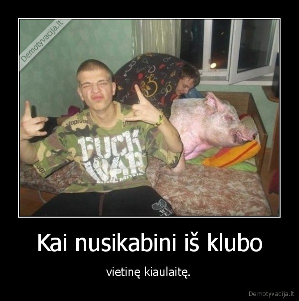 klubas,kiaule,mergina
