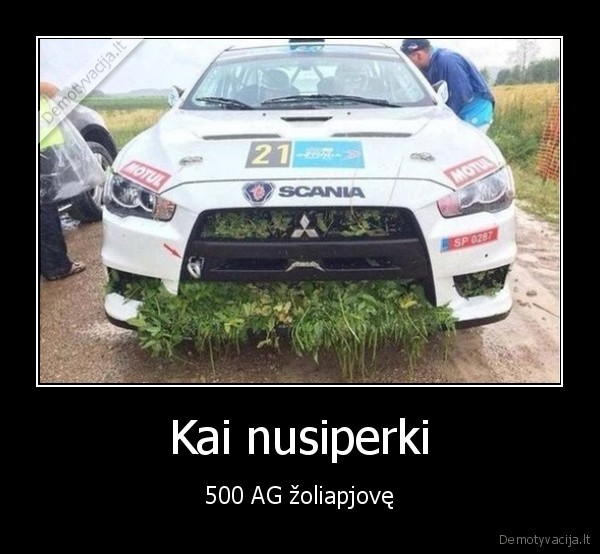 mitsubishi,ralis