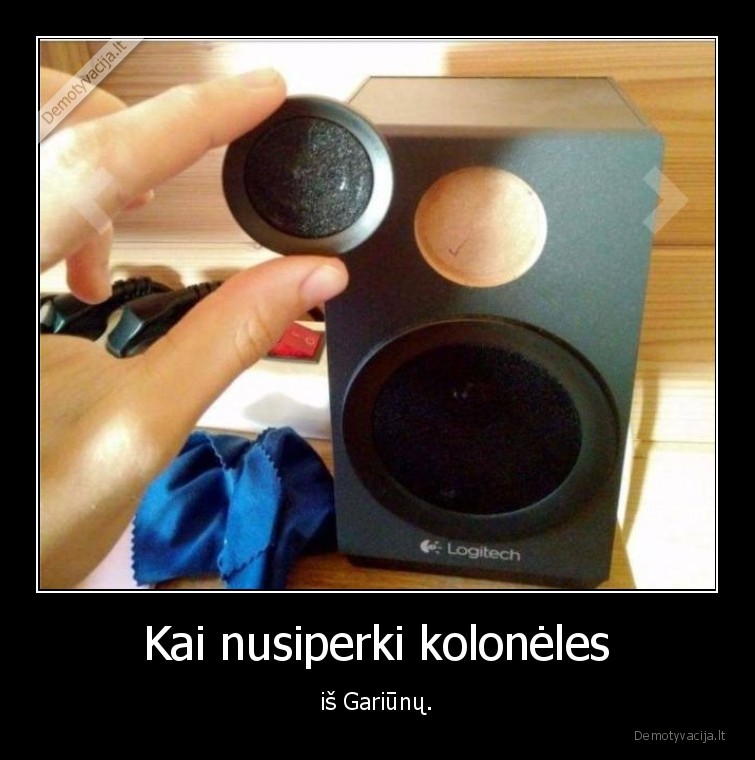 gariunai,turgus,koloneles
