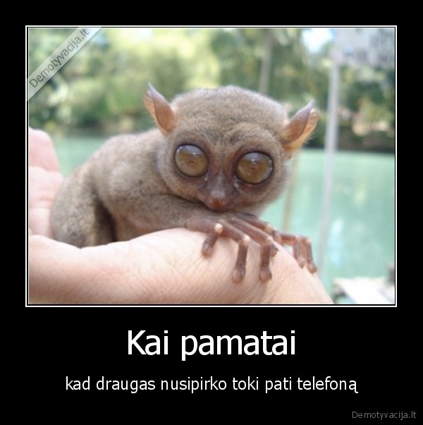 Kai pamatai