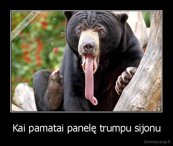 panele,grazi, 