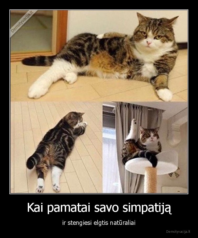 simpatija,naturaliai,vaikinai,merginos,santykiai