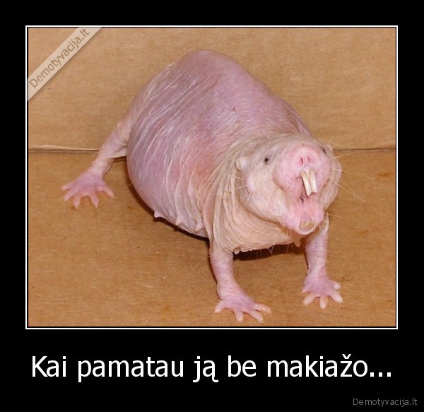 makiazas