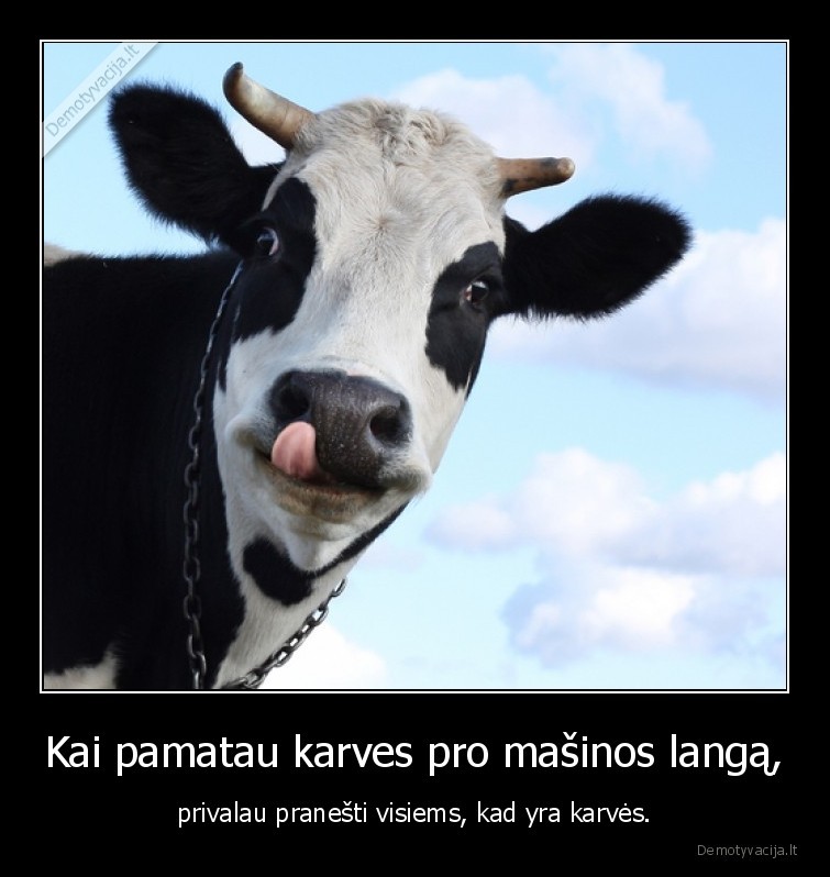 masina,akrve