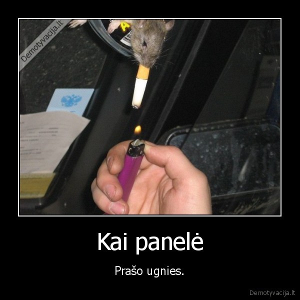 ugnis,panele,ruko
