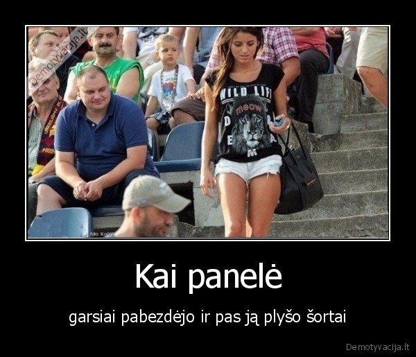 zvilgsniai,panele