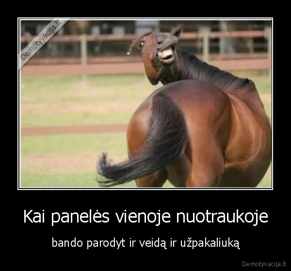 paneles,veidas,uzpakaliukas