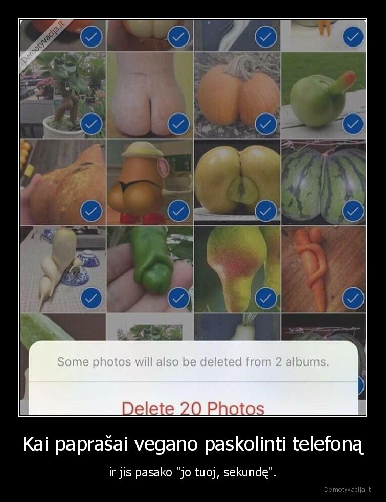 veganas,prno,wtf