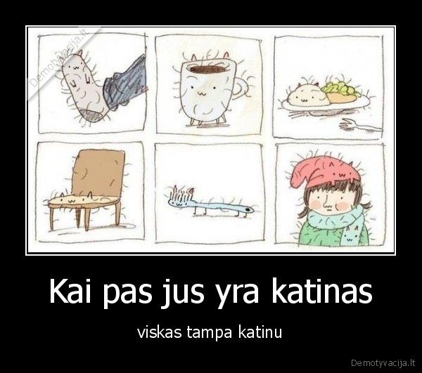 katinas