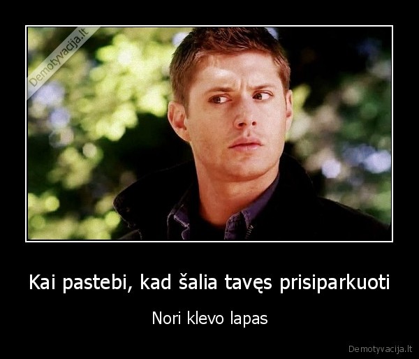 klevo, lapas,pradedantysis, vairuotojas,parkingas