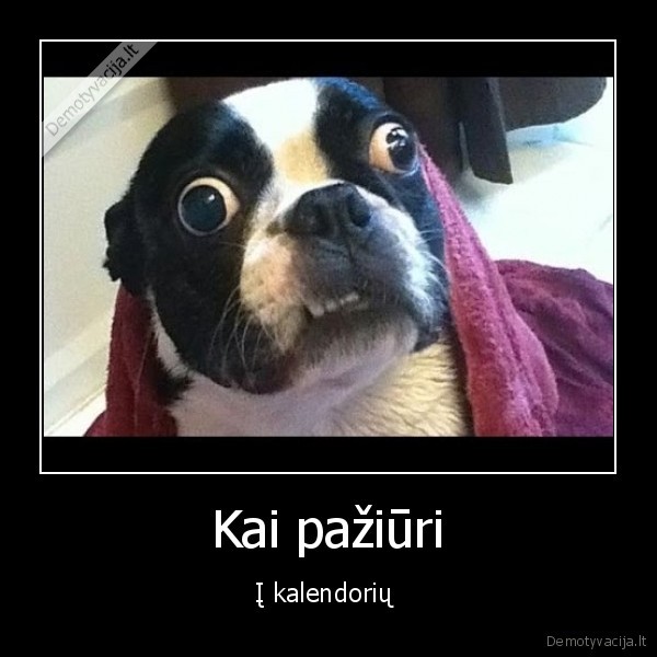 Kai pažiūri