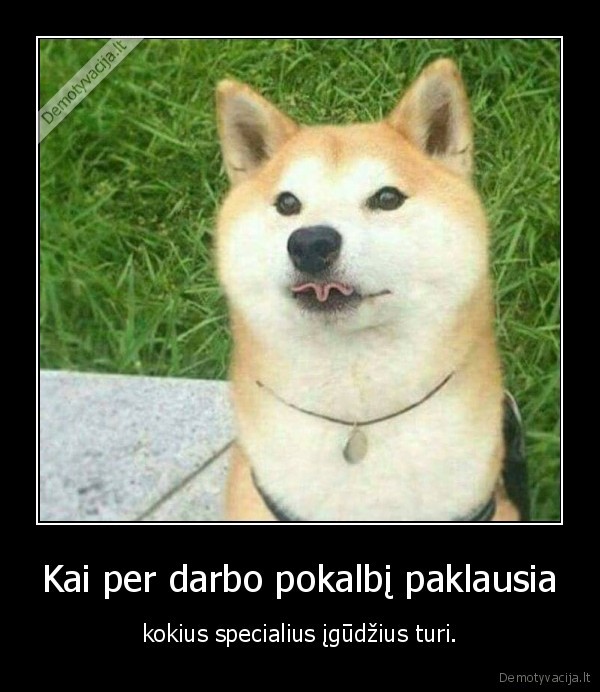 suo,liezuvis,darbo, pokalbis