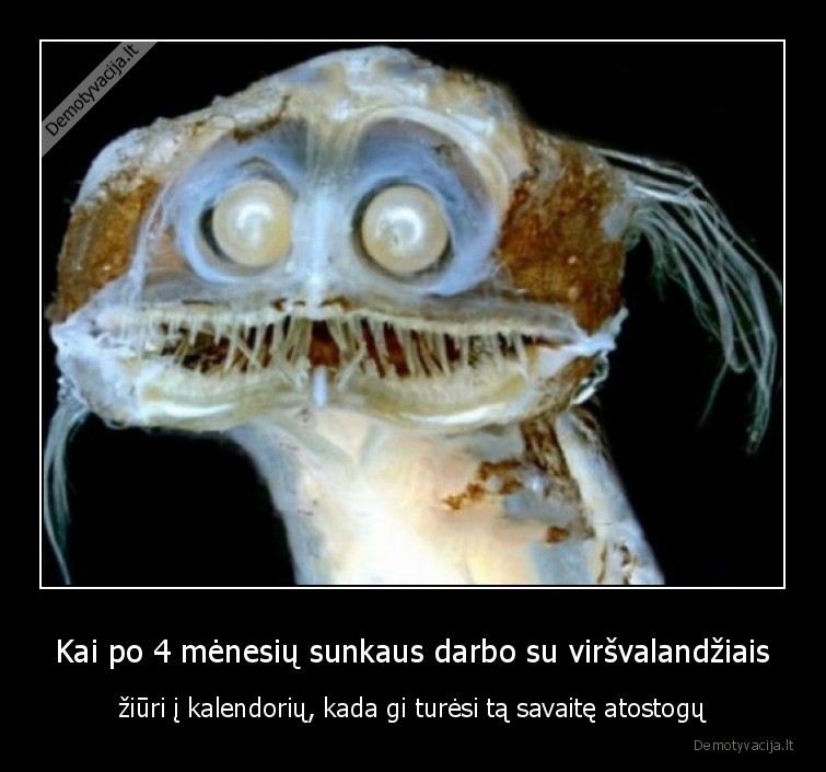 savaite,atostogos,darbas,vasara