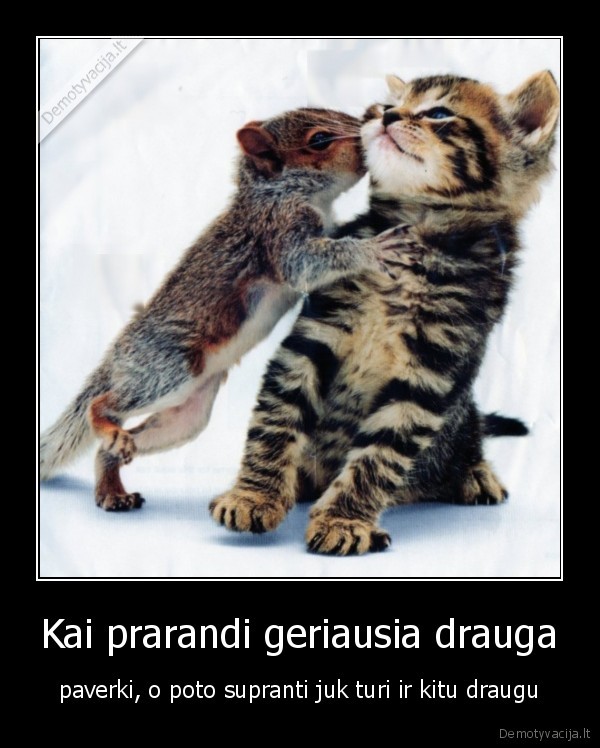 draugai,draugyste,daunai,bananai,ko, nori,bla, bla, bla,woo, hoo,bam,boom