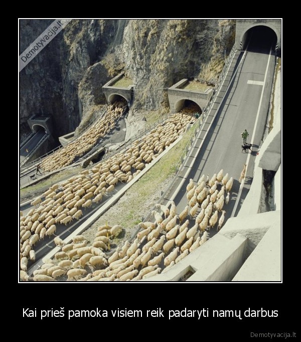 Kai prieš pamoka visiem reik padaryti namų darbus