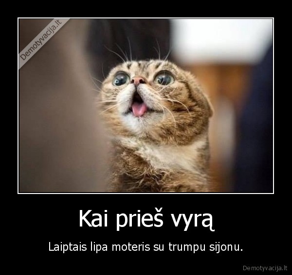 sijonas,laiptai