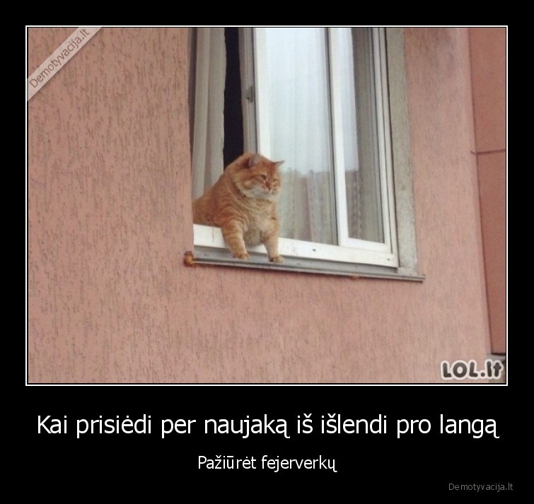 nauji, metai,naujakas