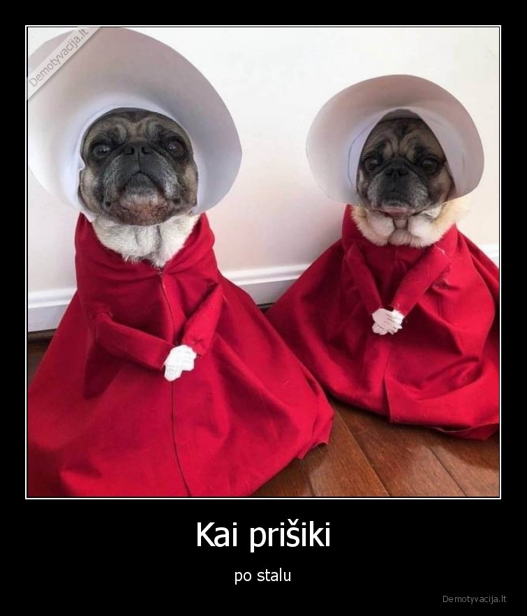 prisikti,sunys,geri